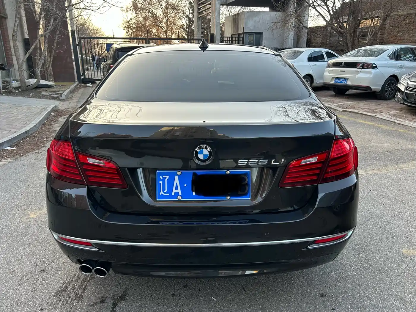 BMW 5 Series 2014 525Li Luxury Design Package фото 8
