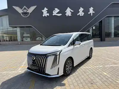 Trumpchi M8