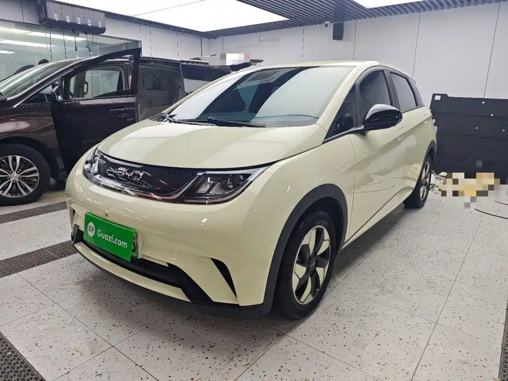 BYD Dolphin 2025 420km Freedom Edition