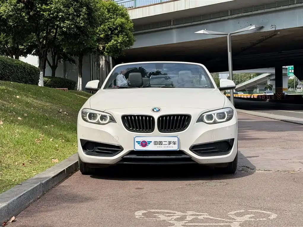 BMW 2 Series (Import) 2019 225i Convertible Coupe Sport Design Package фото 2