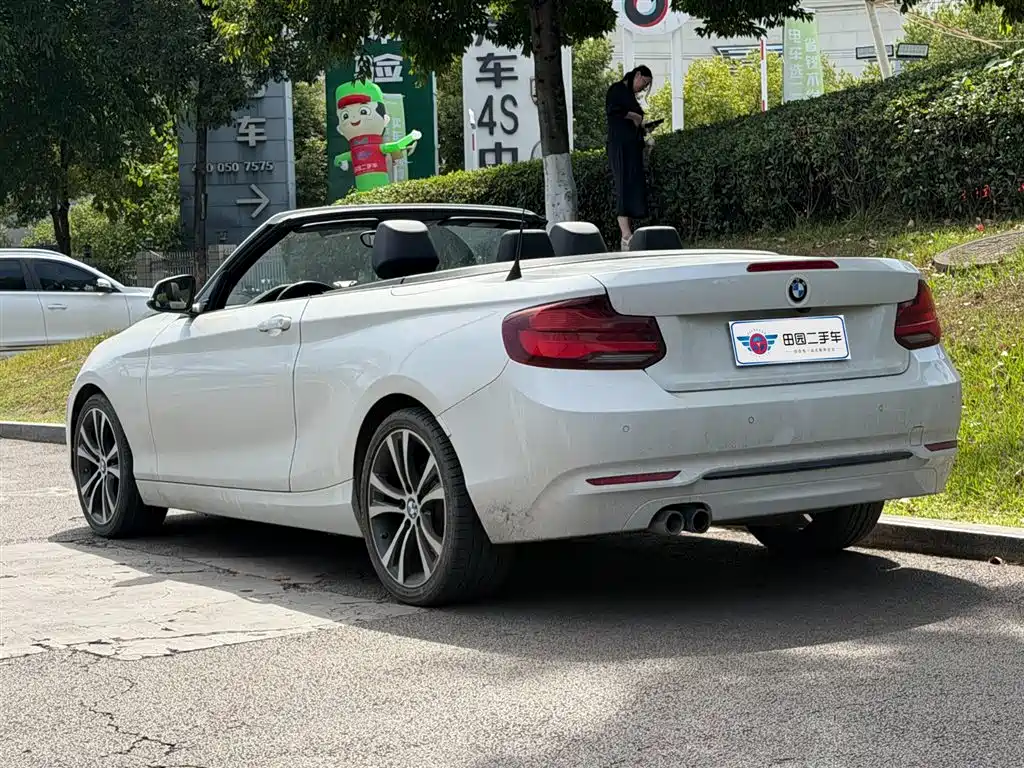 BMW 2 Series (Import) 2019 225i Convertible Coupe Sport Design Package фото 4