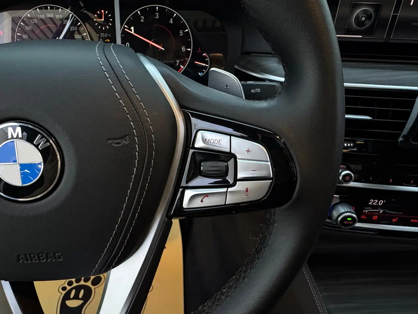 BMW 5 Series 2019 530Li Leading Luxury Package фото 19