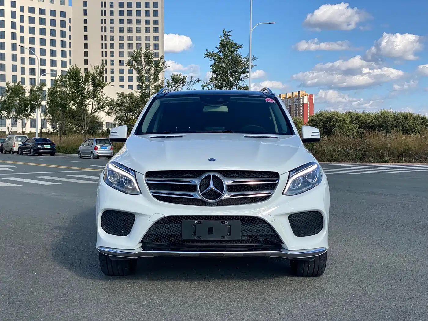 Mercedes-Benz GLE 2016 GLE 320 4MATIC Luxury фото 2