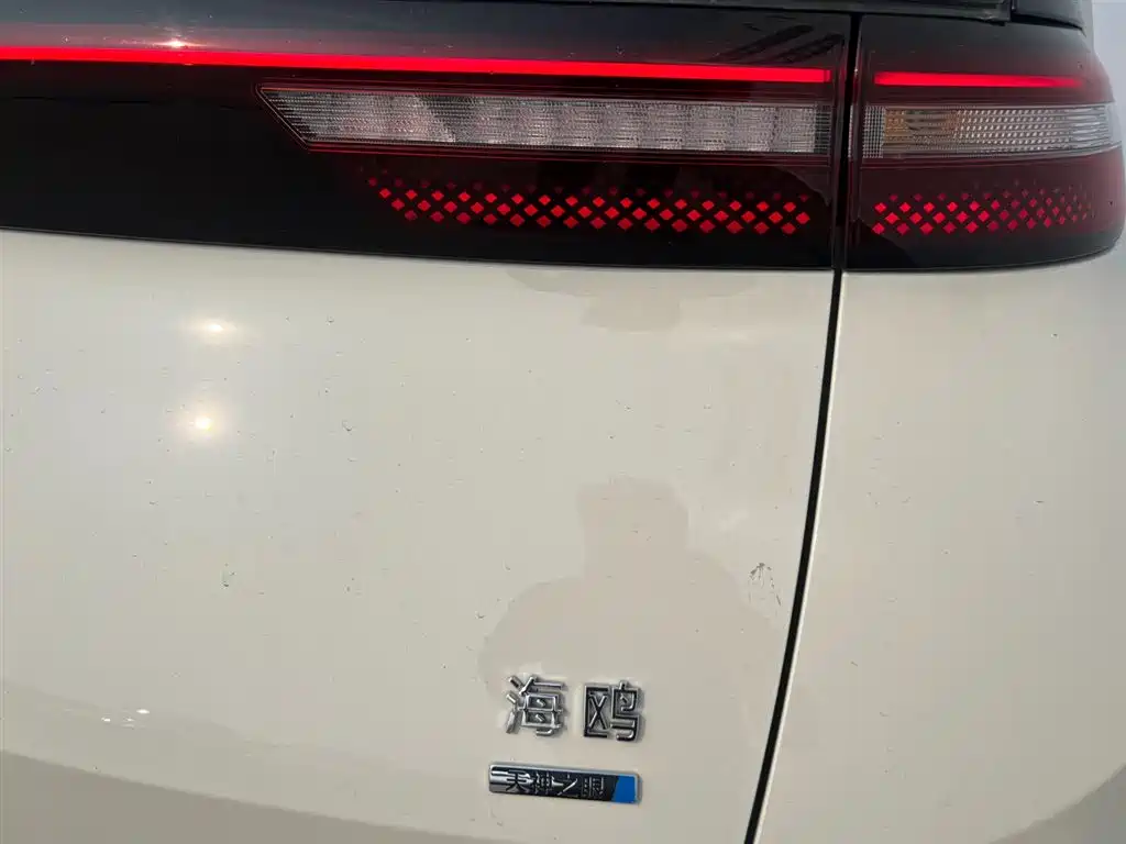BYD Seagull 2025 Smart Drive Edition 305km Freedom Version фото 20