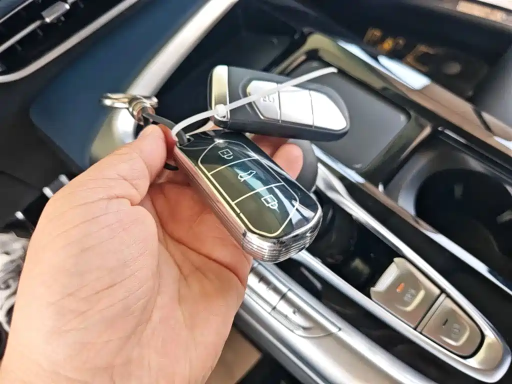 Voyah Auto VOYAH FREE 2021 AWD Standard Range Extender Exclusive Luxury Package фото 9