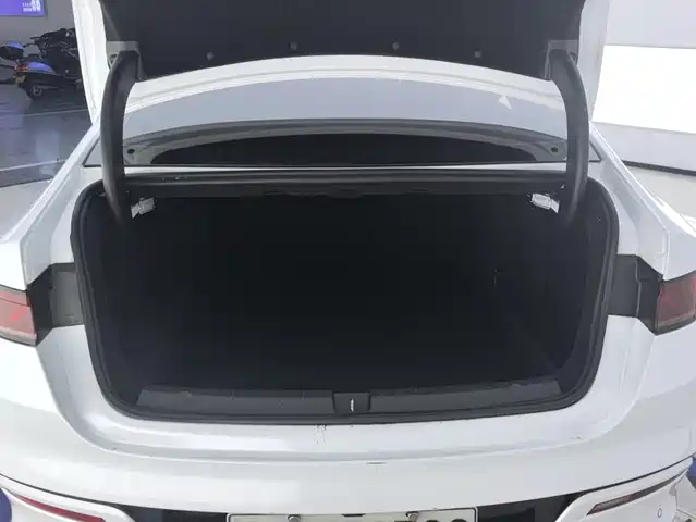BYD Qin PLUS 2024 Glory Edition DM-i 55KM Leading — фото 4