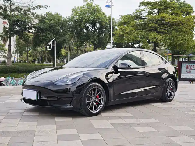 Tesla Model 3 Стандартный запас хода, задний привод, улучшенная