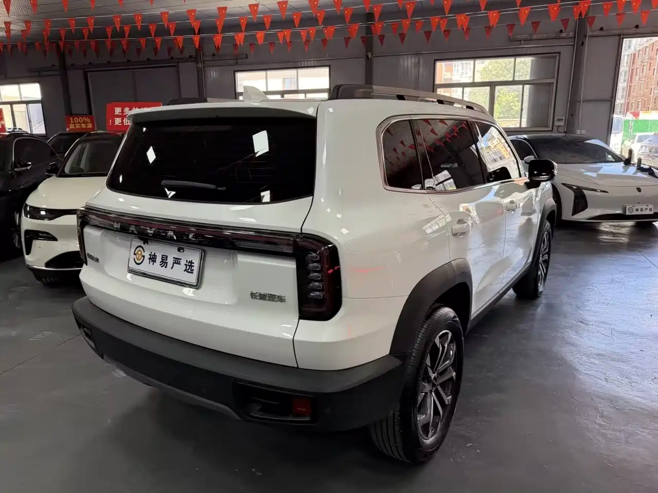 Haval Big Dog 2024 1.5T DCT Border Collie Edition фото 9
