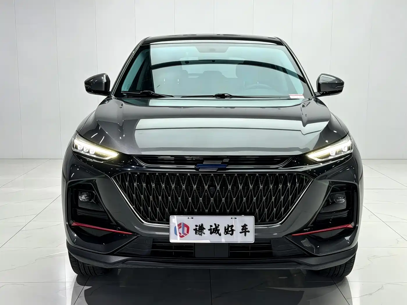 Changan Oshan X7 PLUS 2022 2022 1.5T Blue Whale Edition Auto Premium