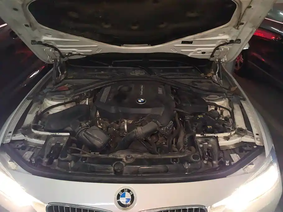 BMW 3 Series 2018 320Li Fashion Style фото 10