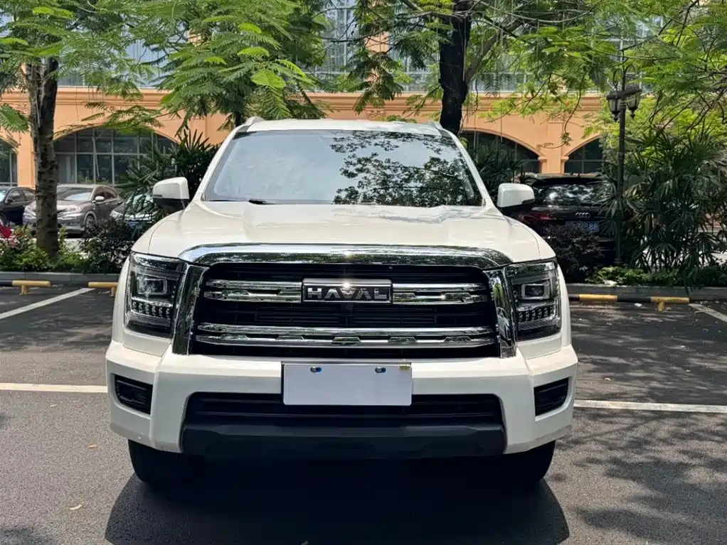 Haval H5 2023 2.0T Automatic 2WD Elite Edition Petrol фото 2