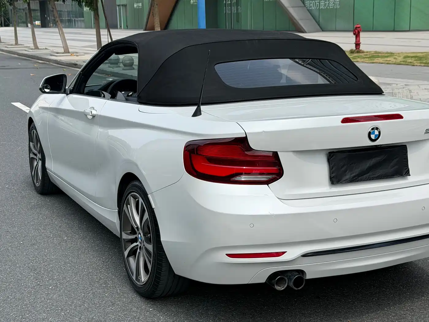 BMW 2 Series (Import) 2019 225i Convertible Coupe Sport Design Package фото 9