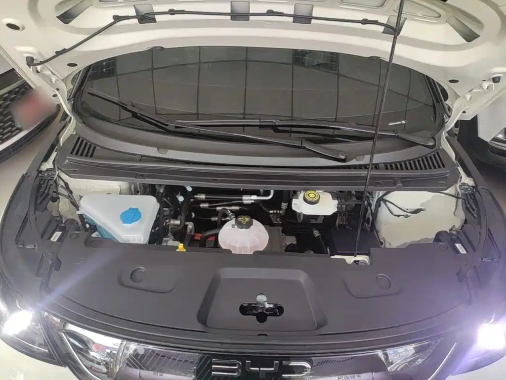 BYD Dolphin 2026 2025 Smart Drive Edition 420km Freedom Version