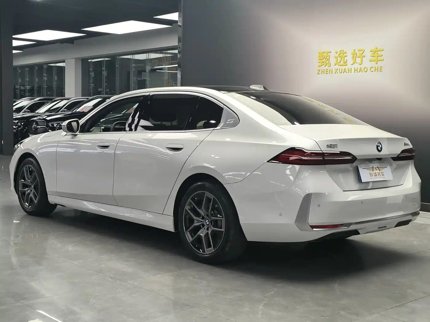 BMW 5 Series 2025 530Li Leading Luxury Package фото 11