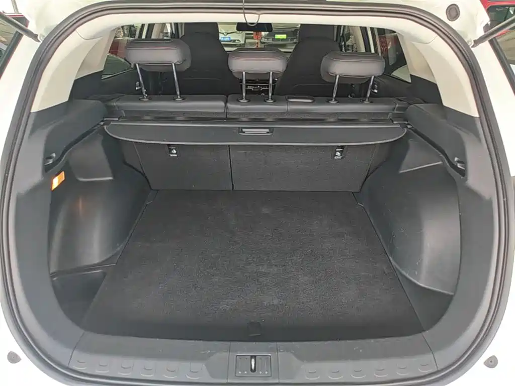 GAC Trumpchi Trumpchi GS4 2020 270T Automatic Smart Connect Tech Version фото 15