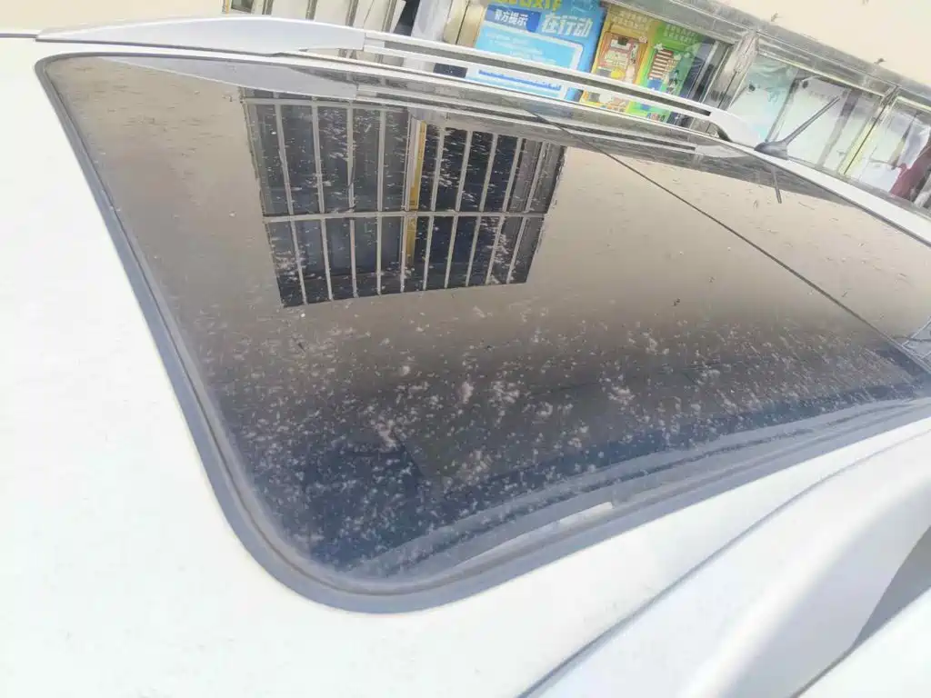 Фото 6 - BYD Tang New Energy