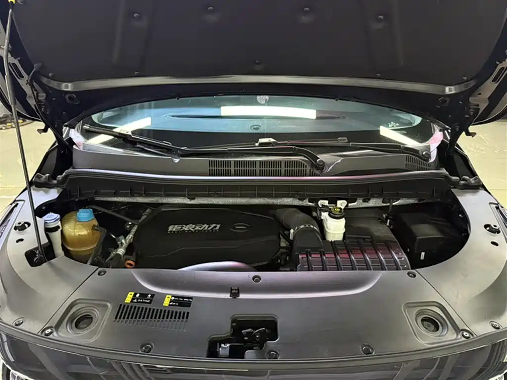 GAC Trumpchi Trumpchi M8 2021 Leading Show Series 390T Ultimate Edition фото 11