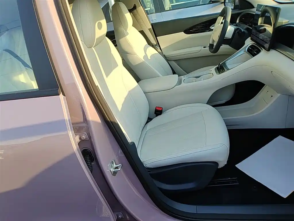 Geely Galaxy Starry Wish 2026 Model 310km Dream Edition фото 25