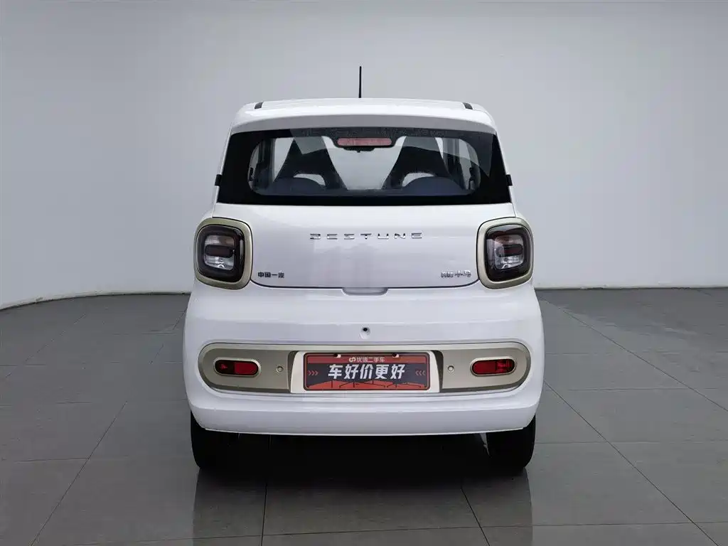 BESTUNE PENTIUM PONY