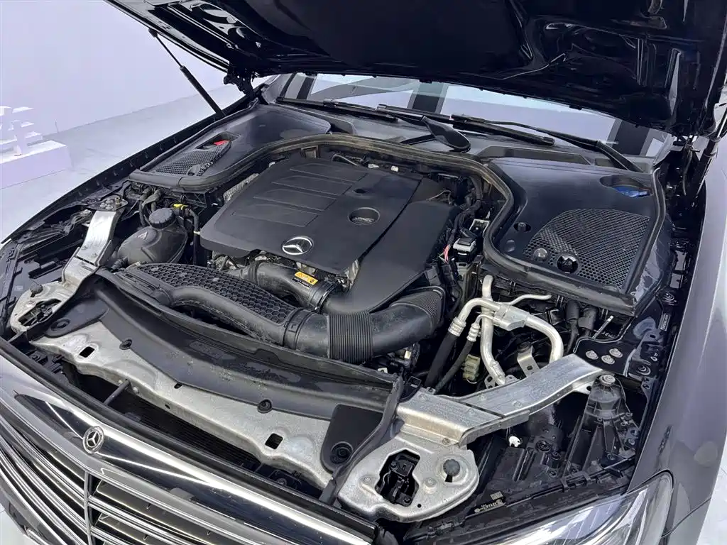 Mercedes-Benz E-Class 2020 E 300 L Luxury Model фото 28