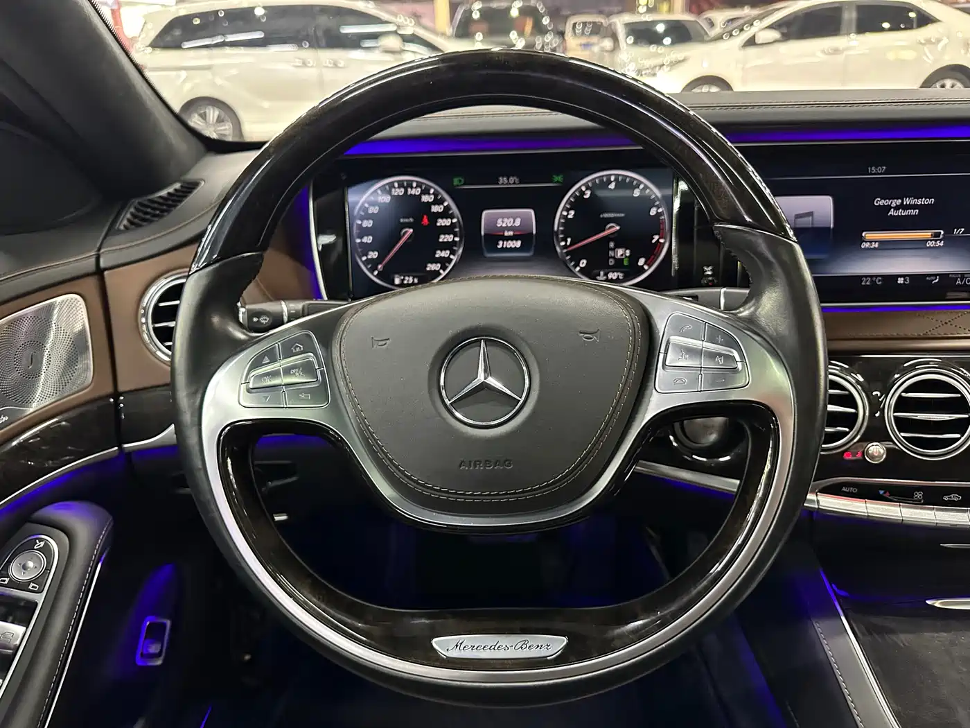 Mercedes-Benz S-Class 2014 S 600 L фото 10