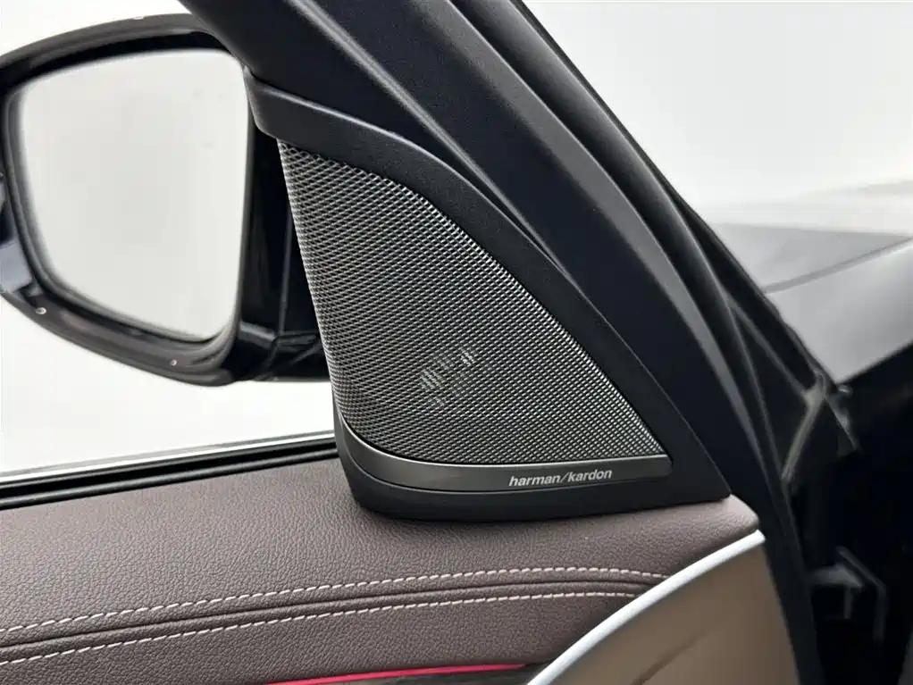 BMW 5 Series 2021 530Li Leading Luxury Package фото 15