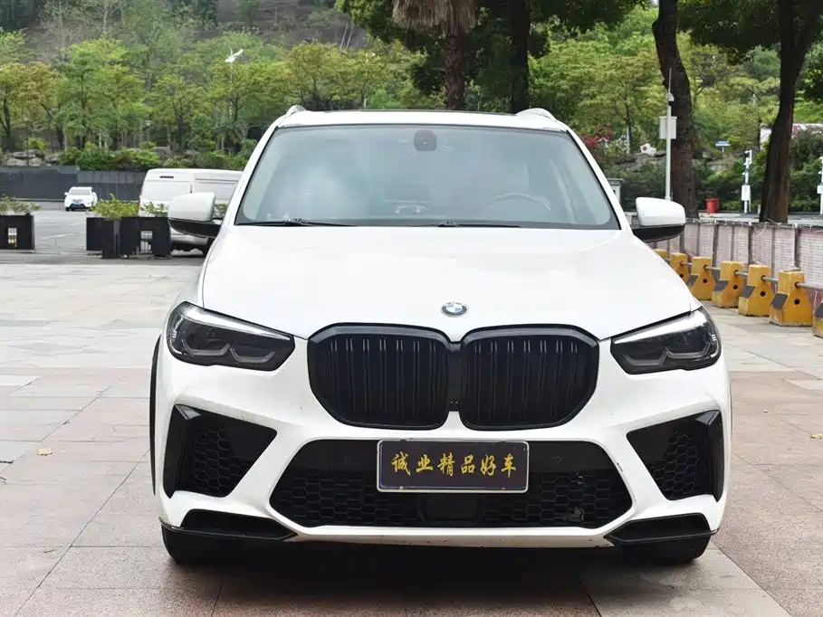 BMW X5 (Import) 2011 xDrive35i Leading Edition фото 2