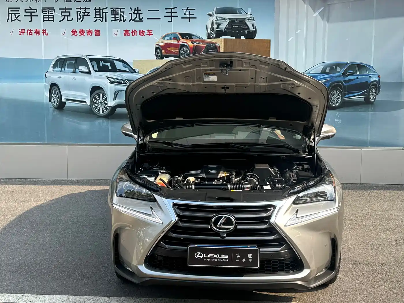 Lexus NX 2015 200t AWD F Sport фото 2