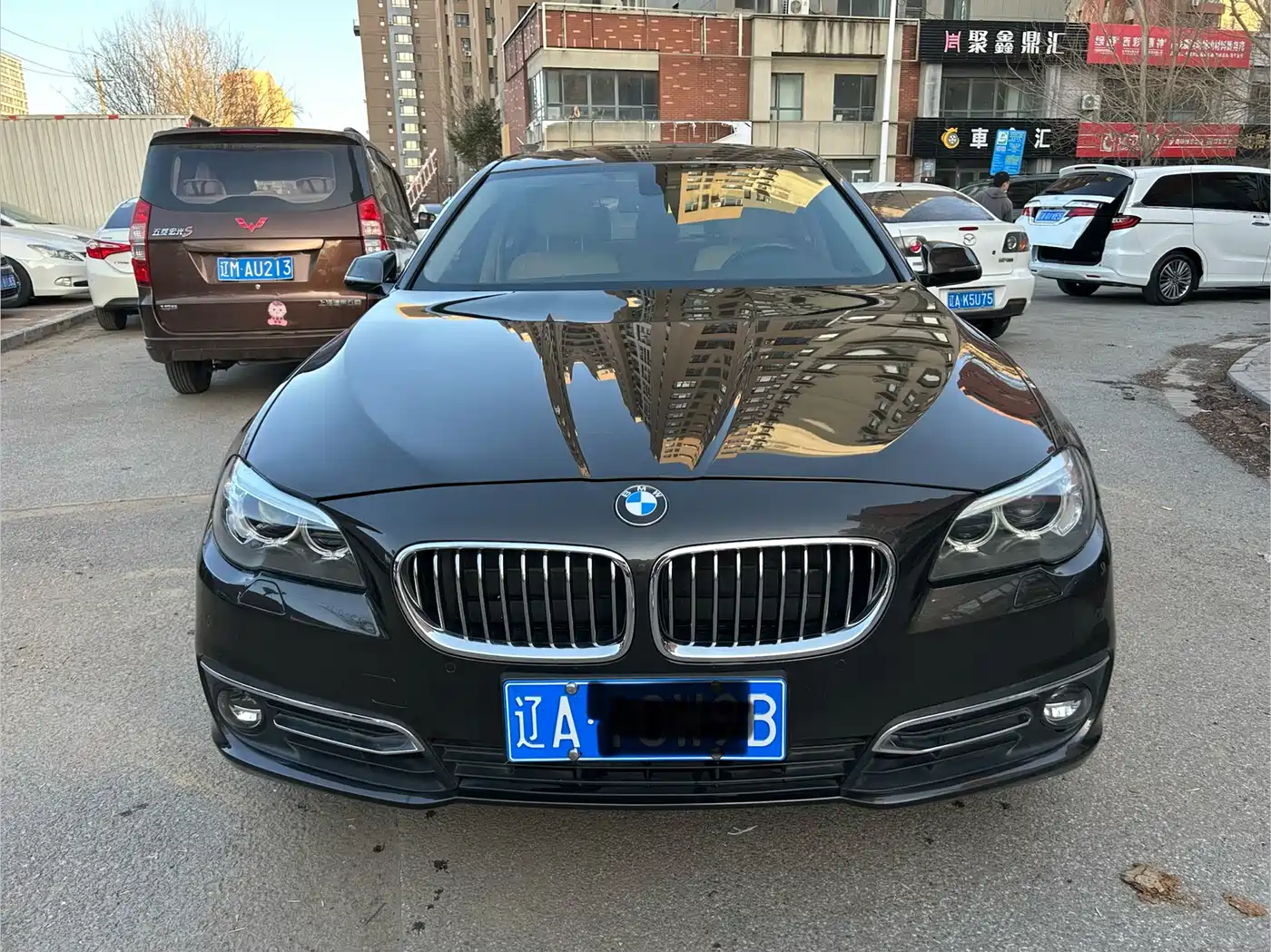 BMW 5 Series 2014 525Li Luxury Design Package фото 2