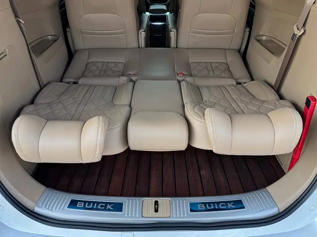Buick GL8 2021 ES Landlord 653T Premium фото 14