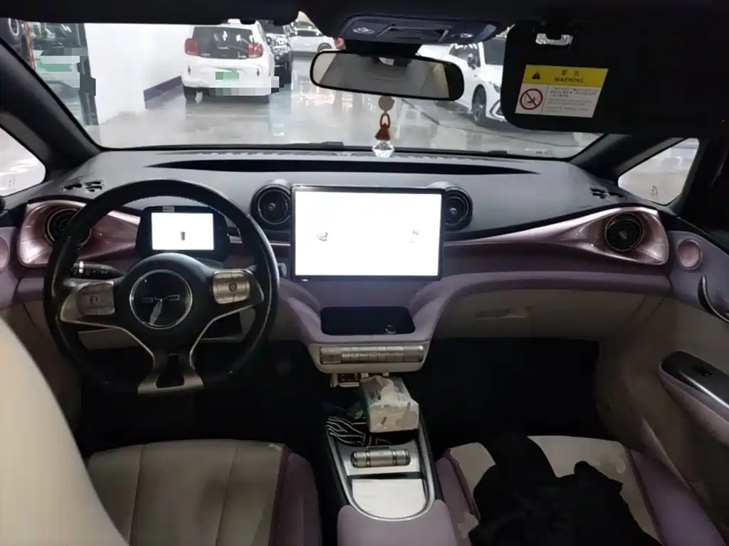 BYD Dolphin 2021 Model 405km Fashion Edition фото 6