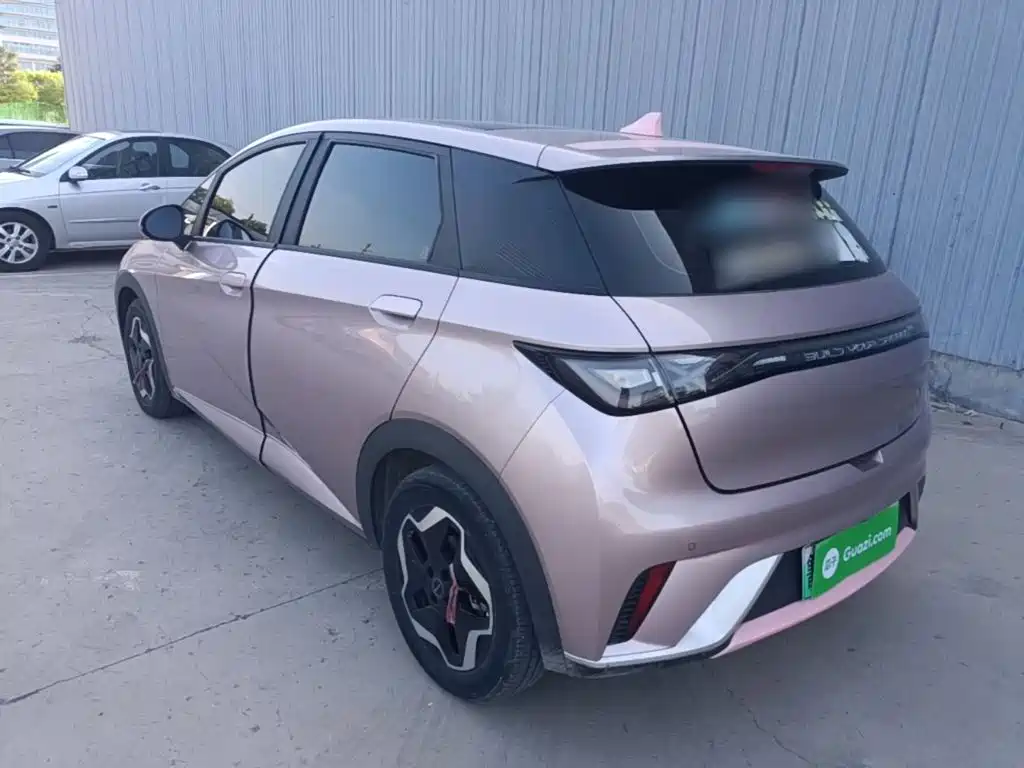 BYD Dolphin 2022 2021 Model 405km Fashion Edition