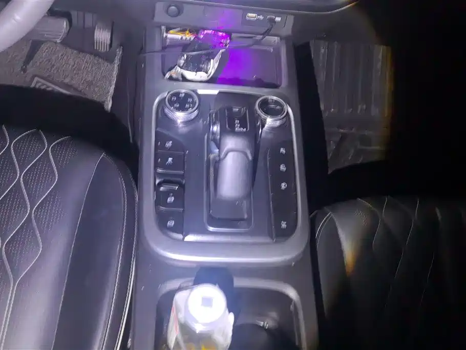 Tank 300 2021 Off-road Edition 2.0T Challenger фото 16