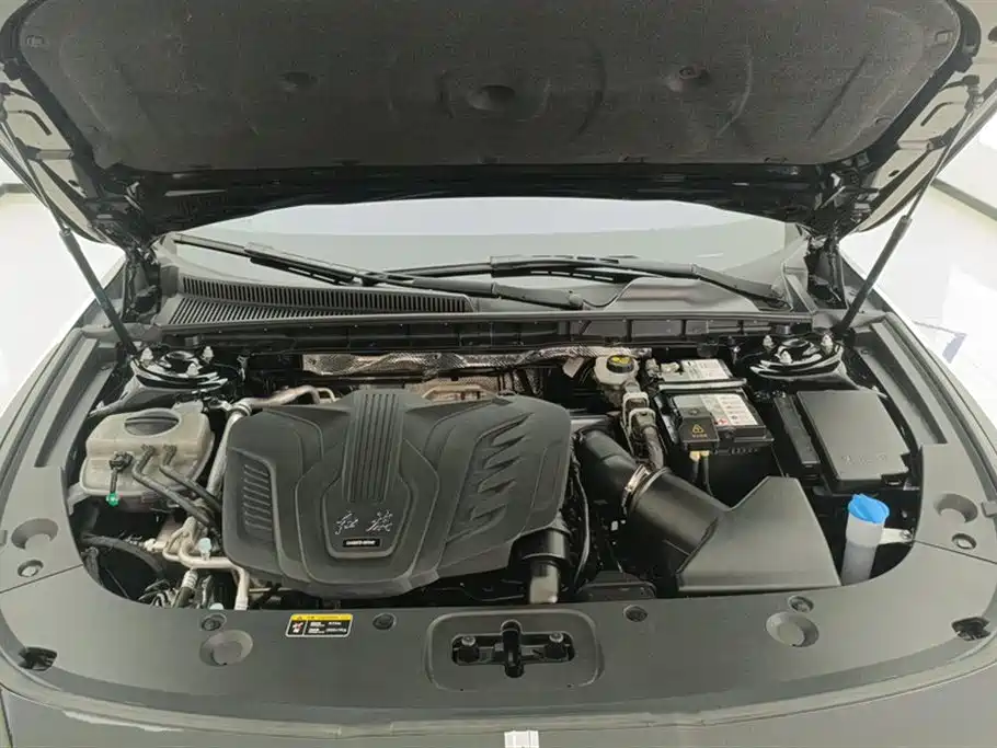 Hongqi H5 2024 1.5T DCT Smart Connect Flag Rhythm Edition фото 10