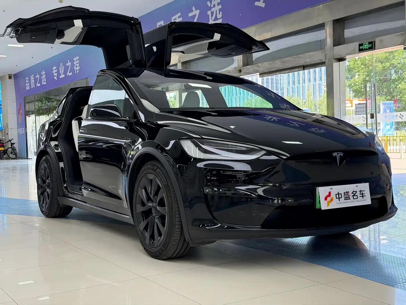 Tesla Model X 2023 Dual Motor All-Wheel Drive Edition фото 3