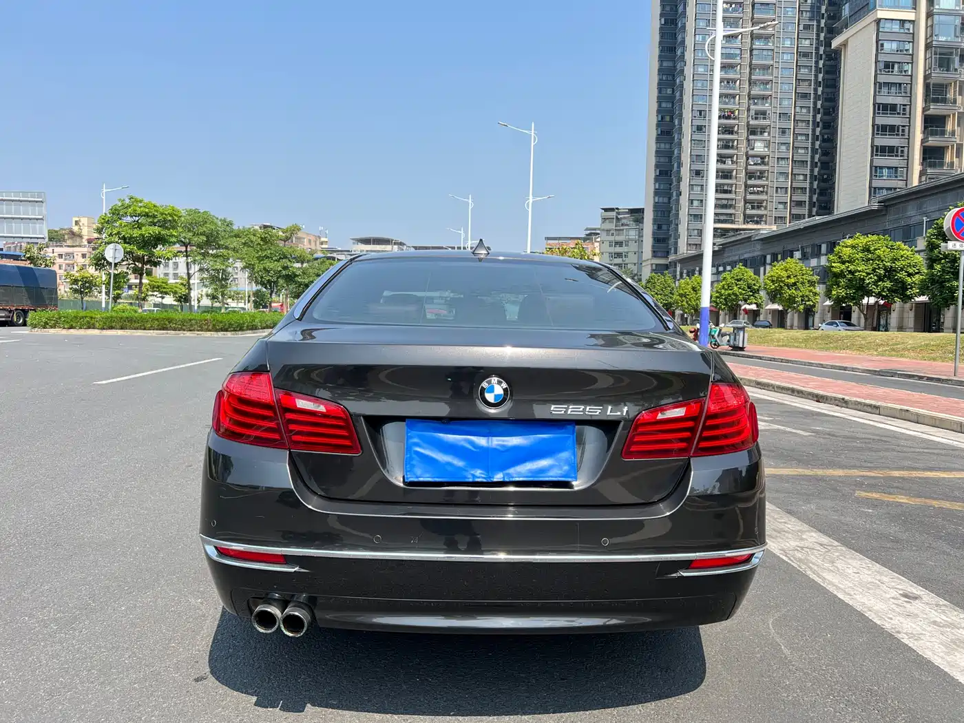 BMW 5 Series 2014 520Li Elegance фото 4