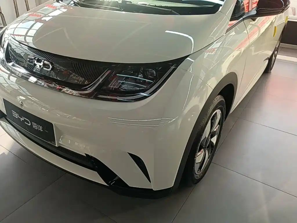 BYD Dolphin 2026 2025 420km Freedom Edition