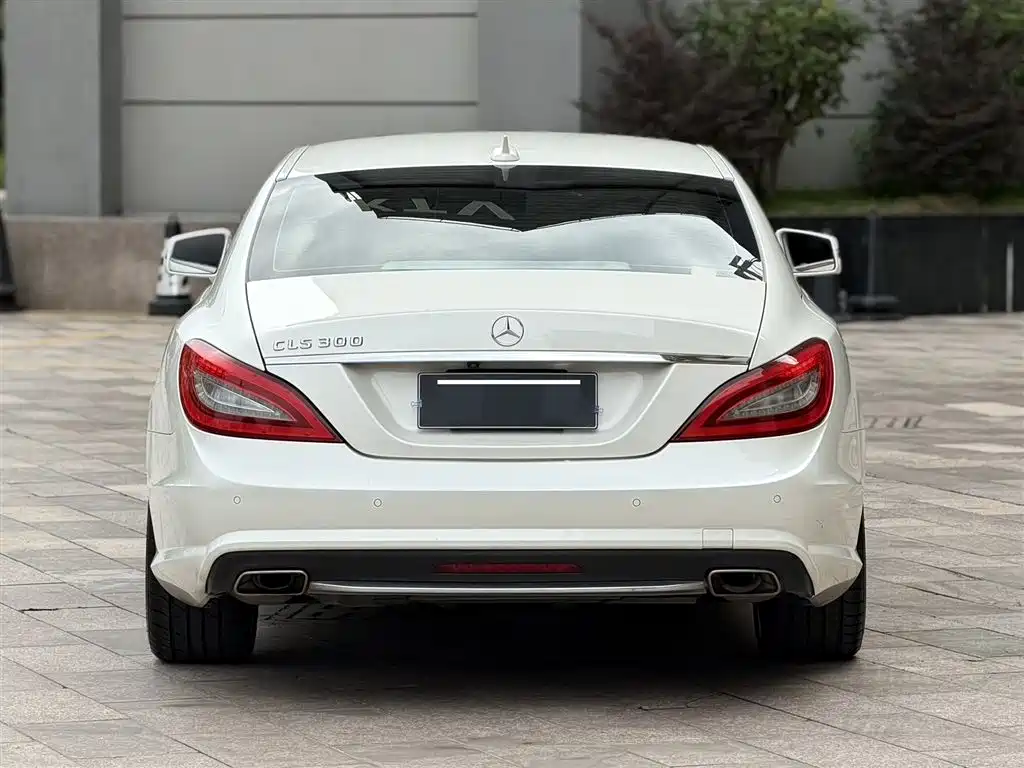 Mercedes-Benz CLS 2012 CLS 300 CGI фото 5