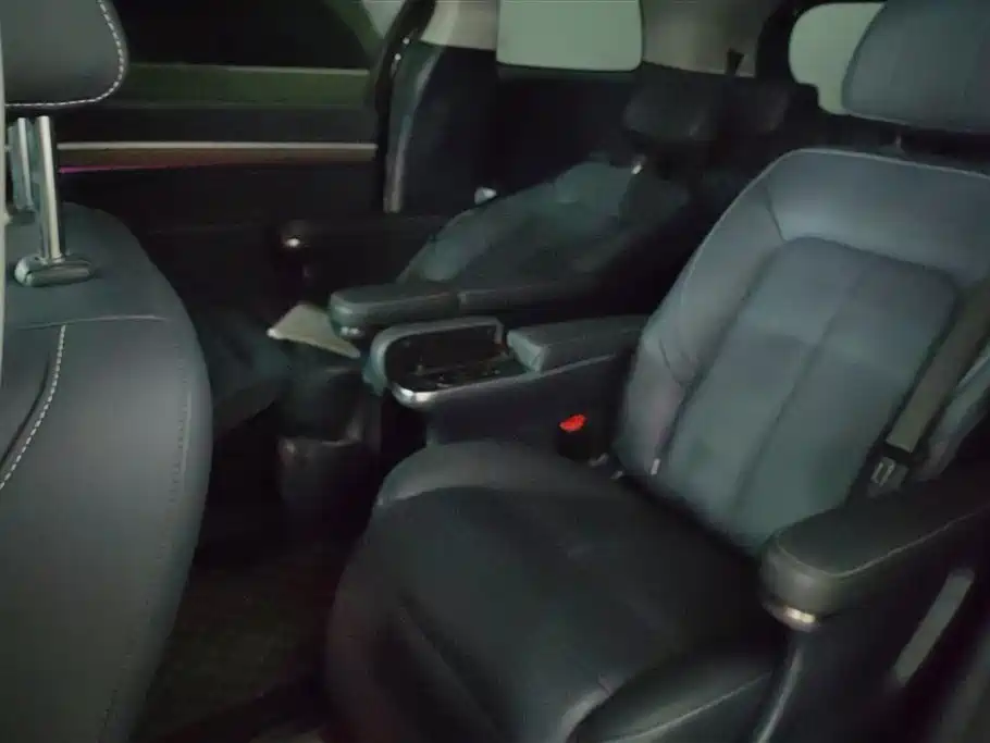 GAC Trumpchi Trumpchi M8 2021 Leading Show Series 390T Ultimate Edition фото 11