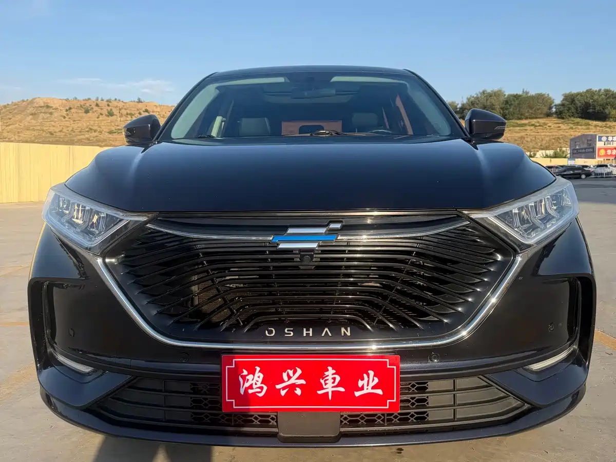 Changan Oshan X7 2021 2021 1.5T Automatic Luxury