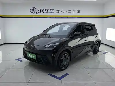 BYD Seagull