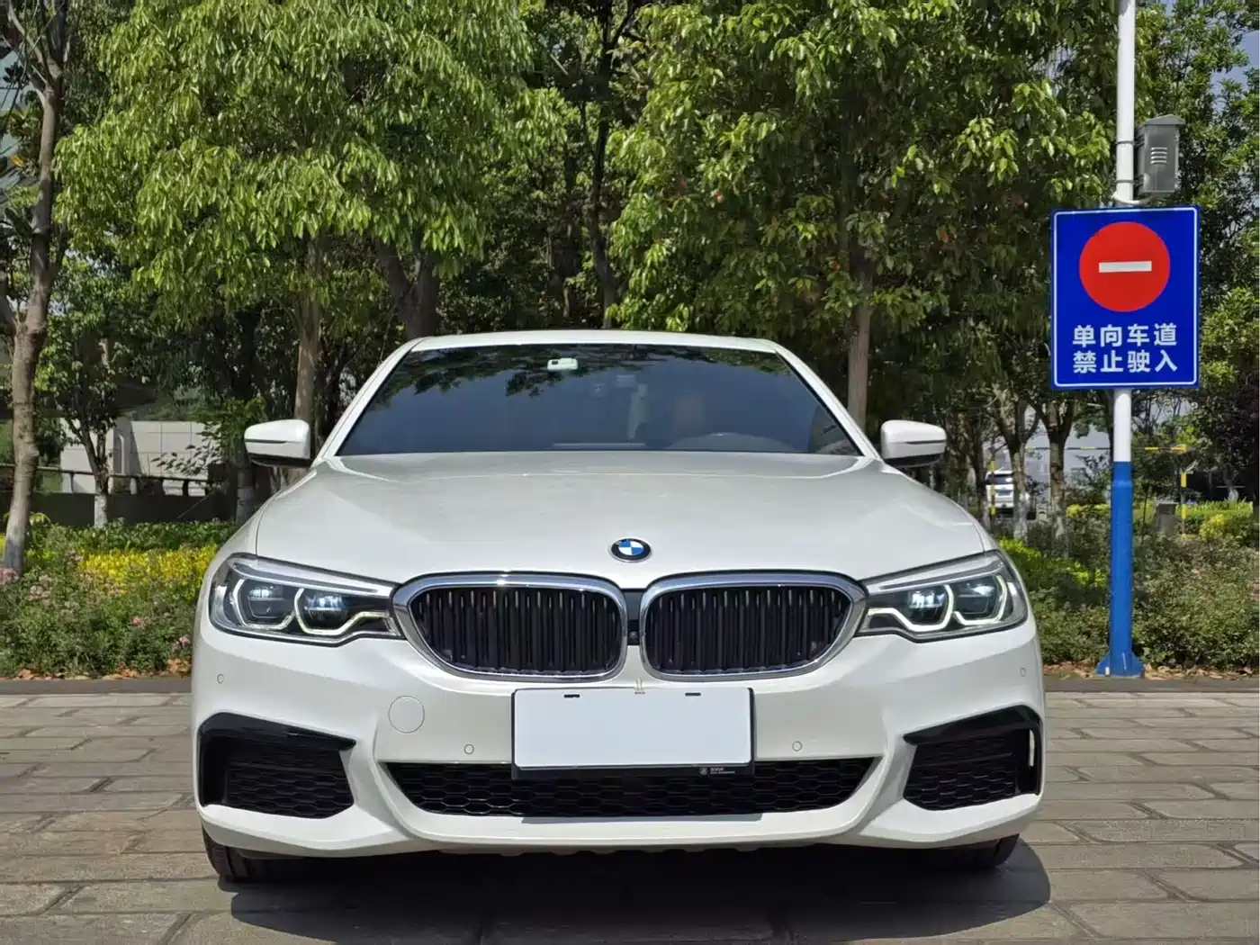 BMW 5 Series 2020 530Li Leading M Sport Package фото 3