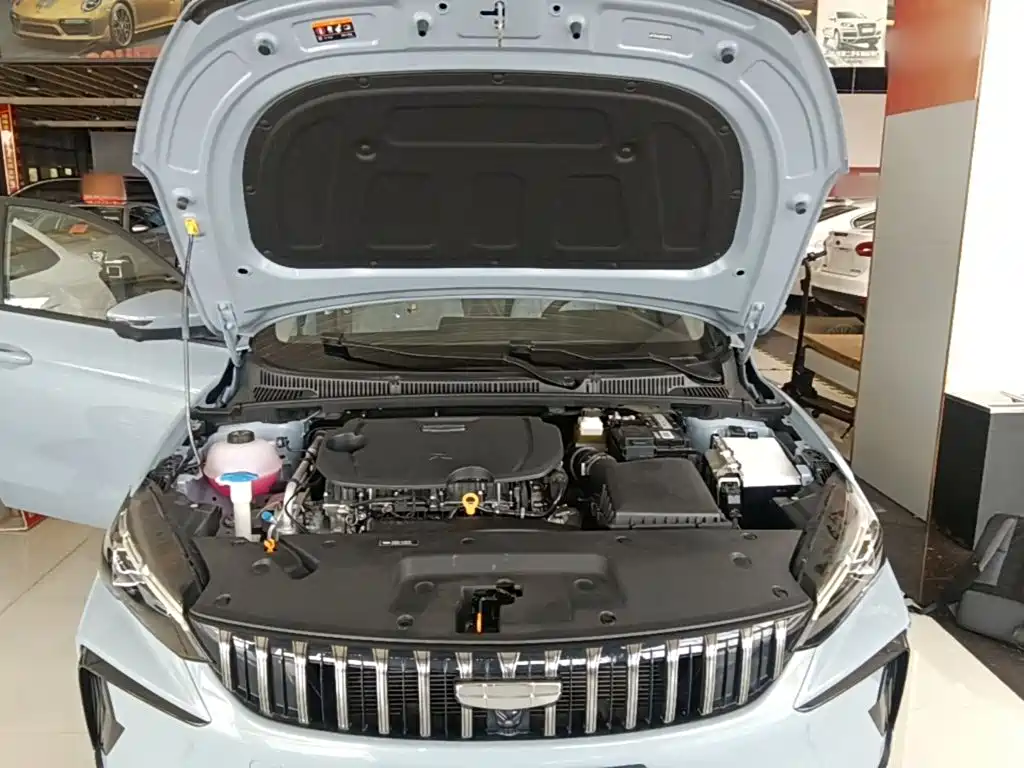Фото 20 - Geely Binrui