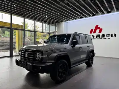Tank 300