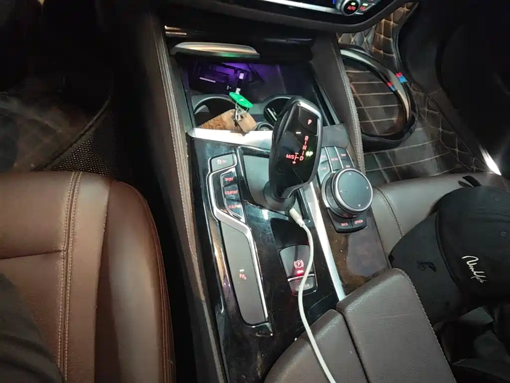BMW 5 Series 2020 525Li Luxury Package фото 14