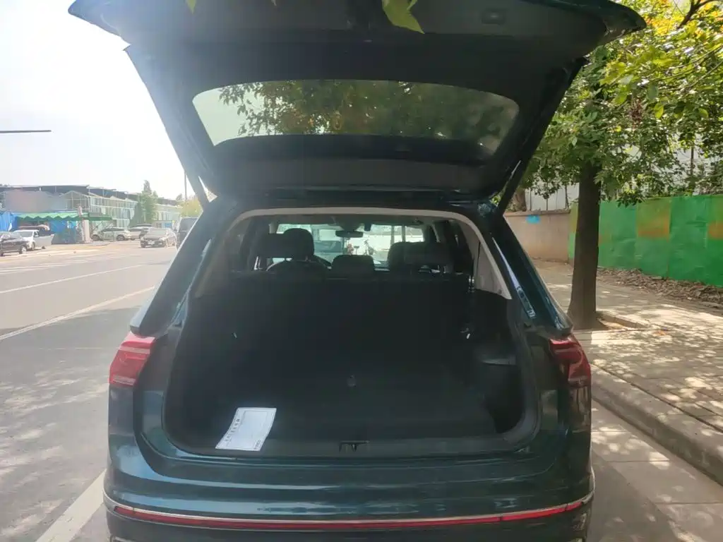 صورة 19 - Volkswagen Tiguan L