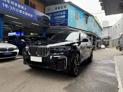 BMW X7