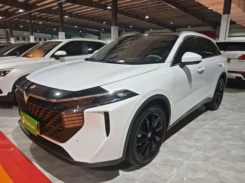 Venucia Big V 2022 2021 260T King Edition