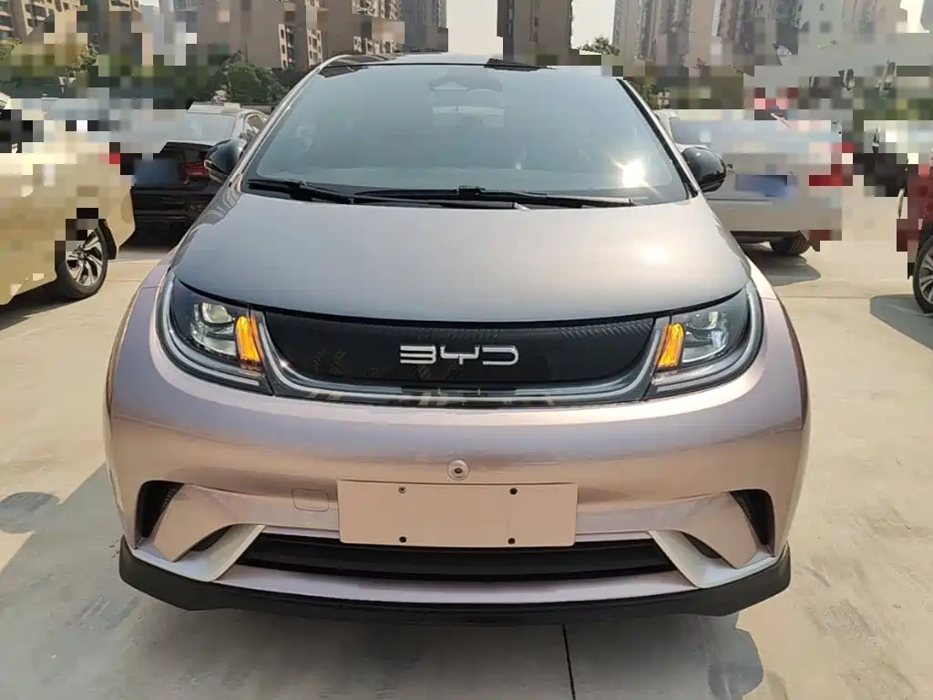 Фото 3 - BYD Dolphin