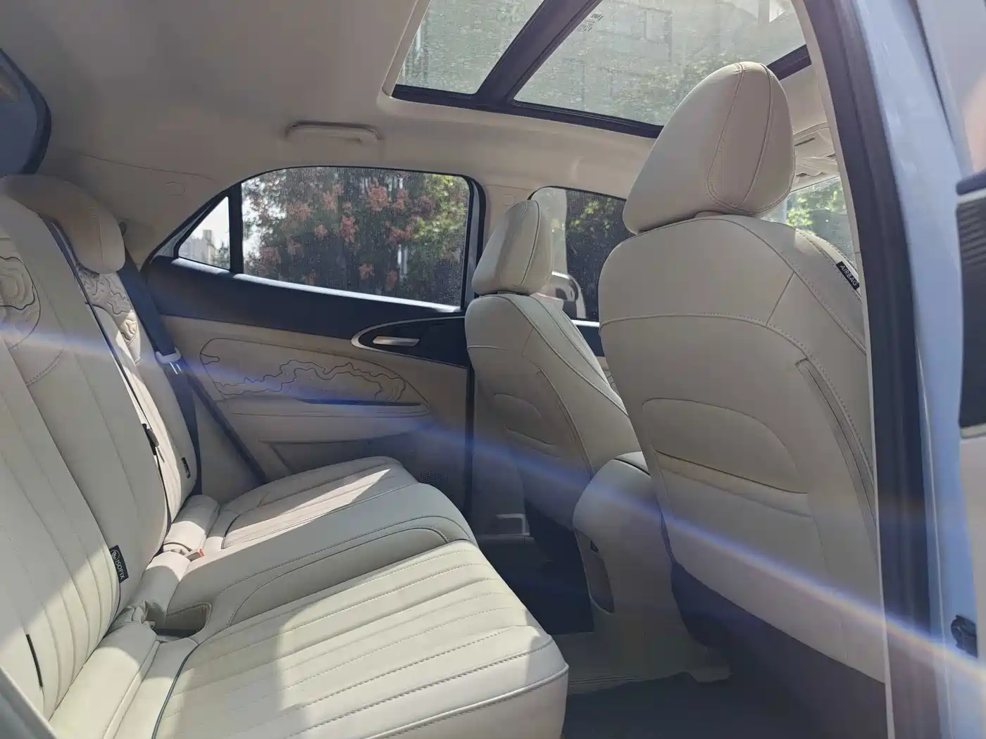 Ora Good Cat 2024 2023 401km Standard Range Honor Edition (LFP)